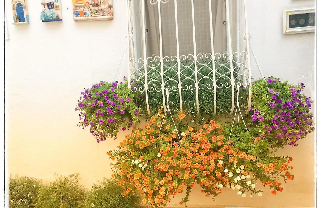 Bodrum Sade Pension-1