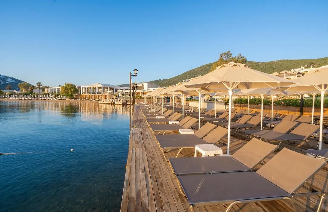 Trendlife Hotels Torba-1