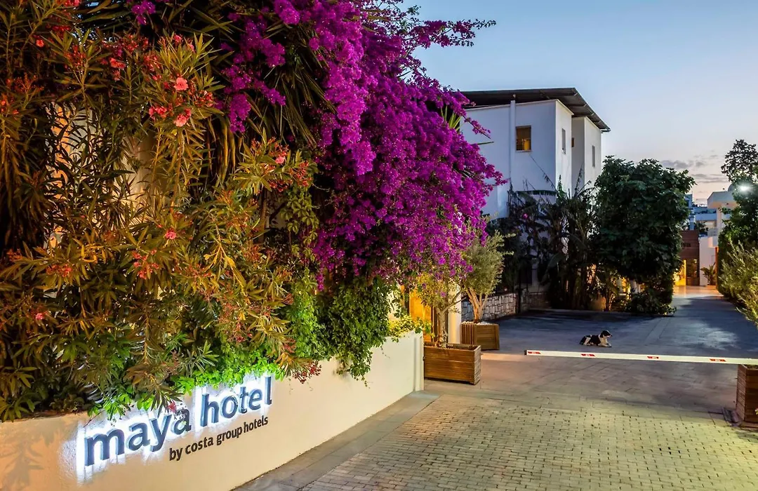 Costa Maya Bodrum-1