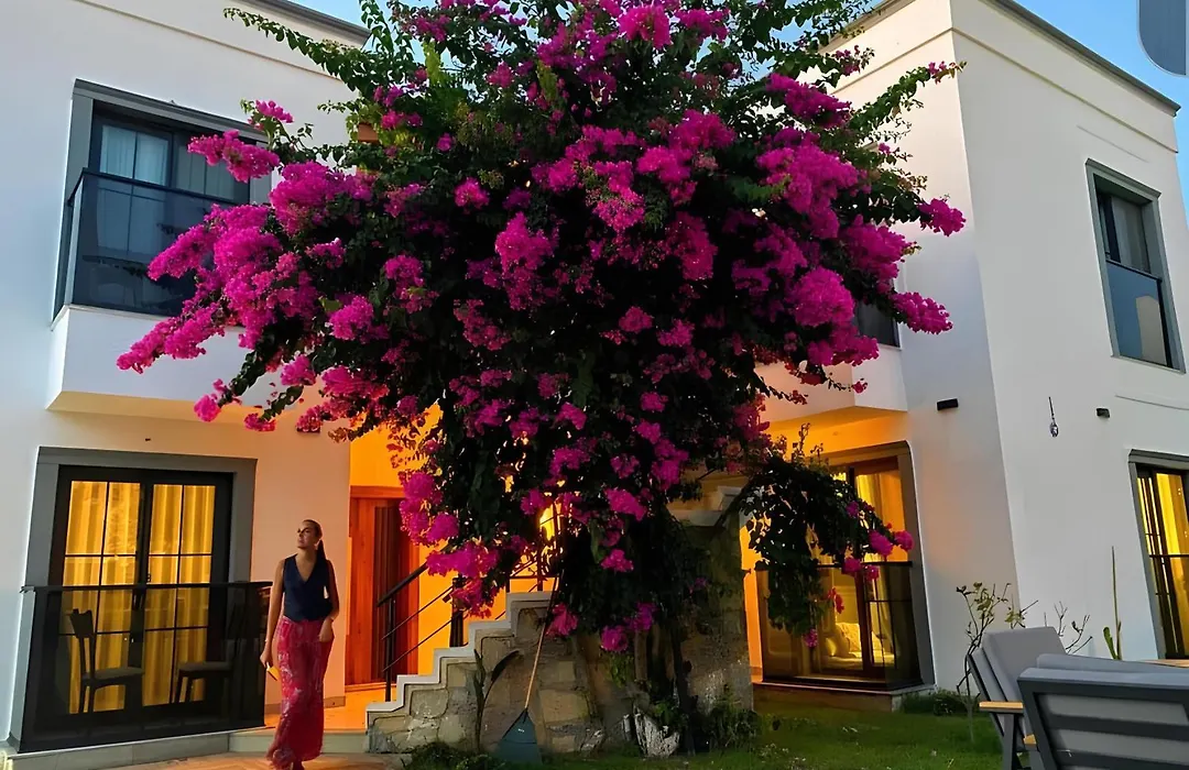Derin Apart Bodrum-1