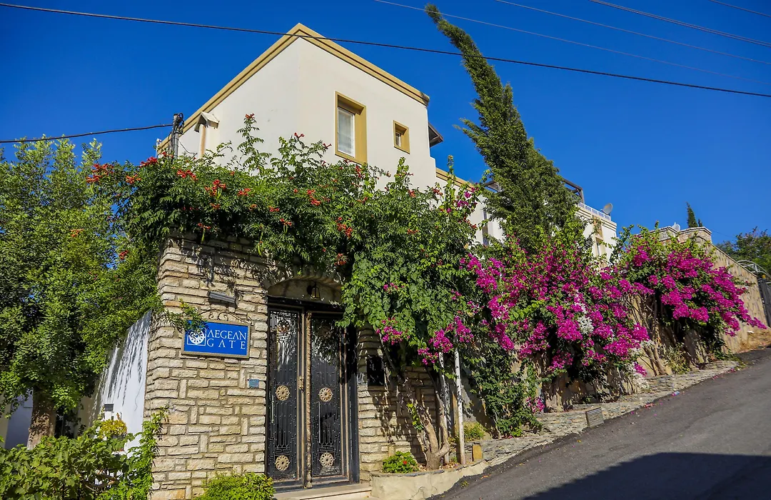 The Aegean Gate Hotel (Adults Only)-1
