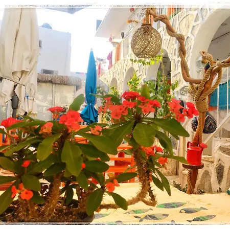 Bodrum Sade Pension-3