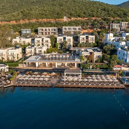 Trendlife Hotels Torba-3
