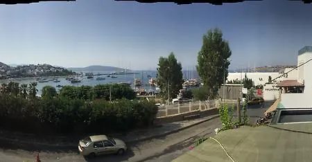 Pasha Motel-2