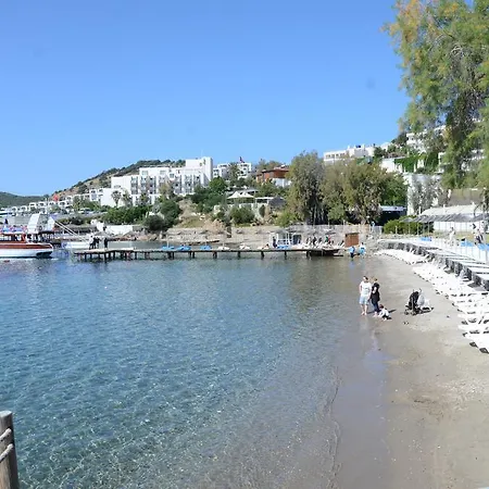 Rexene Resort-2
