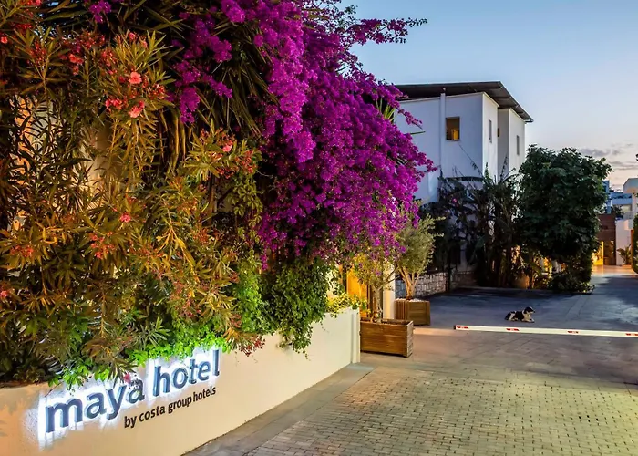 Costa Maya Bodrum