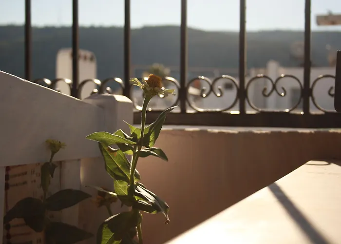 La Luna Hostel